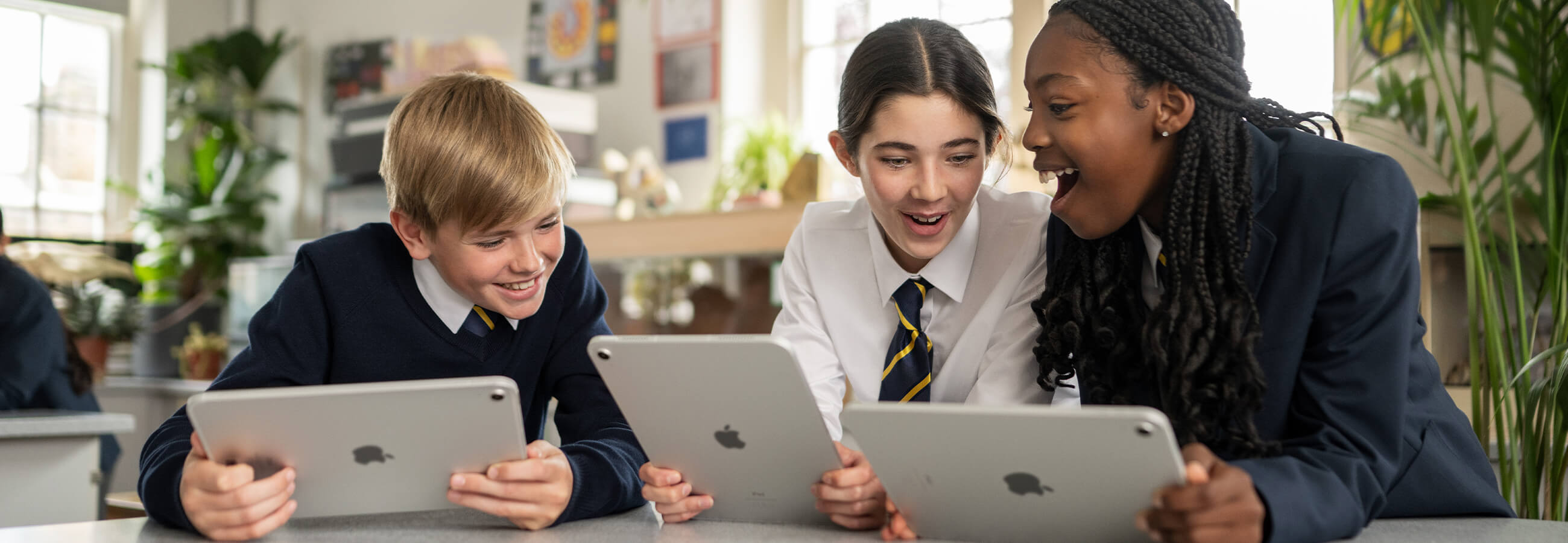 Primary and Secondary Schools